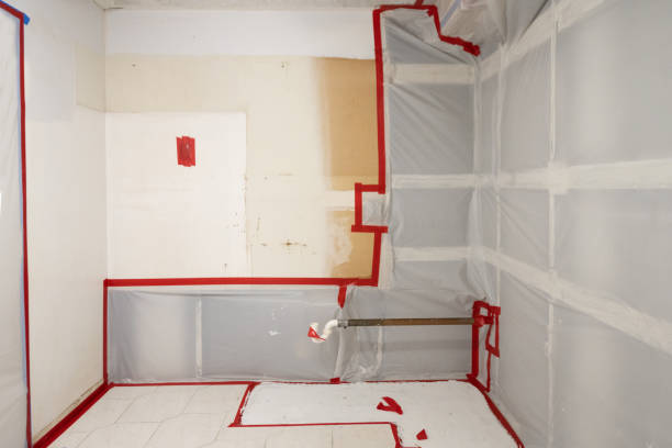 Best Crawl Space Mold Remediation  in Ecru, MS